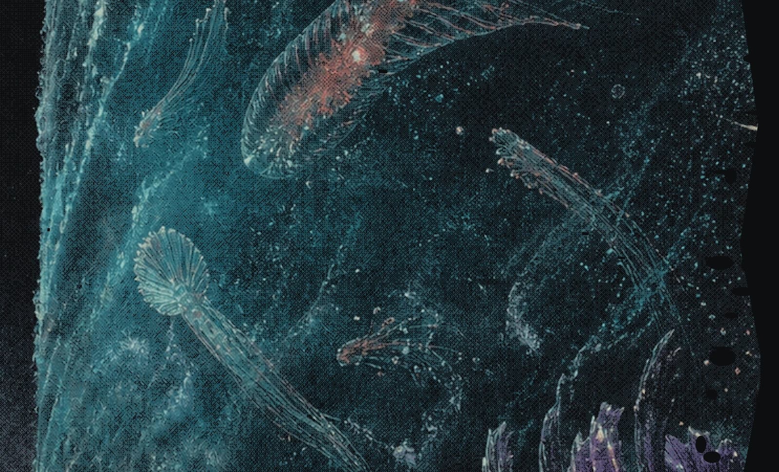 Exact artwork detail of the aquatic figure and vertical ocean on the Unauthorized Destinations 01 back graphic